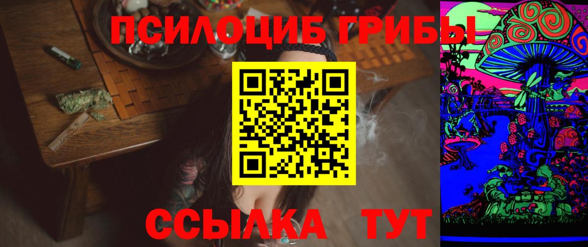 Галлюциногенные грибы Psilocybine cubensis  Вход с VPN  Мичуринск  Галлюциногенные грибы Magic Shrooms 